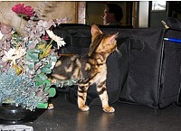 Picking Trim up in Coeur d'Alene, ID, on 4 October 2004.  Trim helps another pilot with his flight planning.  